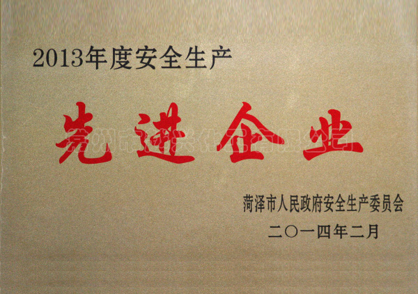 2013年先进企业